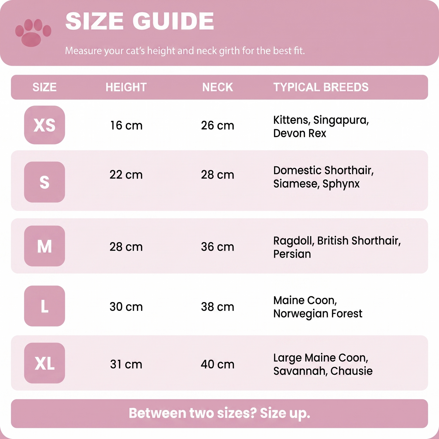 PinkPawnic Costume